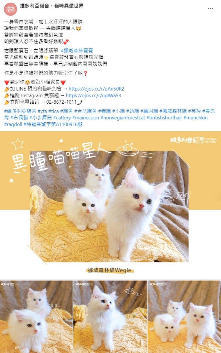 Facebook 社群贴文范例